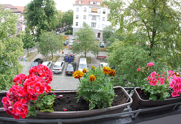 Blick vom Balkon